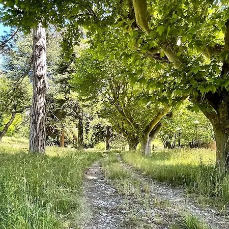 Maison Verdollin A Vakantiehuis Annot